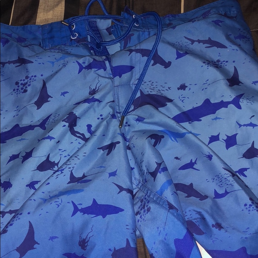 Souther Tide Swim Trunks